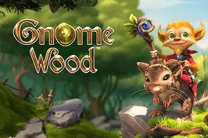 Игровой автомат Gnome Wood играть онлайн в казино Чемпион